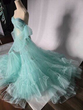 Photoshoot ready! Light Blue Sheer Ruffle Gown
